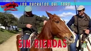 Los Secretos Del Toro. Caballos Sin Riendas.