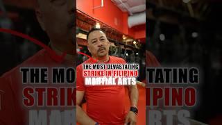 The most DEVASTATING STRIKE in FMA #fma #filipinomartialarts #martialarts #selfdefense
