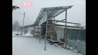 덕지리 사과밭 매매