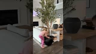 Our favorite faux Amazon olive tree! #amazonfind #homedecor #affordabledecor #amazonhome #viralvideo