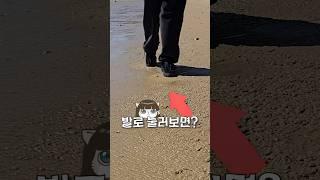 아무도 몰랐을 모래사장의 비밀