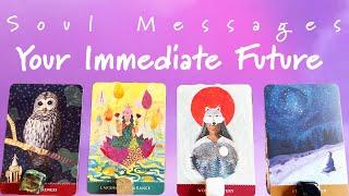 ️Pick a Card️Your Immediate Future️What’s Coming Up on Your Path?