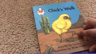 Chick’s Walk (Story for kids)