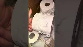 What a Large Mouse did to our RV’s Bathroom