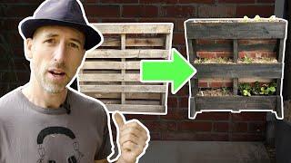 How to make a Cheap and Easy pallet Wall Garden