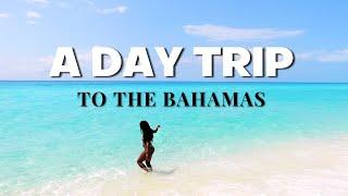 Day Trip From South Florida To The Bahamas | Balearia Caribbean Ferry To Bimini | Day Cruise Bahamas