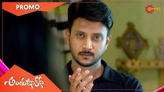 Anthulenikatha - Promo | 24 Feb 2021 | Gemini TV Serial | Telugu Serial