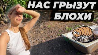 Животные Заболели ‍⬛ Готовлю Вкуснейший Антрекот  Навожу Порядок !  #деревня #влог #рецепты #кухня