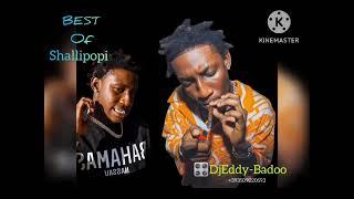 Shallipopi Greatest Hits Songs Best Of Shallipopi Mix By (DJEddy-Badoo) 2023 Afrobeat Mix