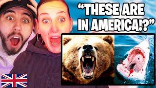 British Mum Reacts to the Most DANGEROUS ANIMALS In The UNITED STATES 