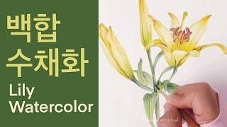 Botanical Art Basics_ Yellow Lily Watercolor