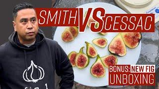 FIG BATTLE: SMITH vs CESSAC // PLUS TASTING: iCandy & ONDATA // BONUS: UNBOXING NEW Fig #fig