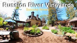 Russian River Vineyards Sonoma, CA ️ UNIQUE LOOK SEE 