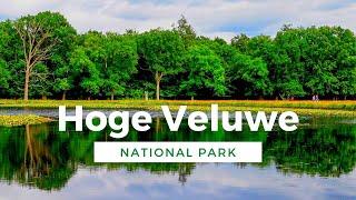 Hoge Veluwe National Park: Escape to nature in Gelderland, Netherlands