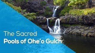 THE SACRED POOLS OF OHE´O GULCH / HAWAII /TRIPS