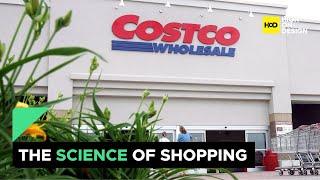 The Secrets Behind the Principles & Strategies of Costco's Warehouse Layout Design | High On Design