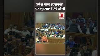 माफियाओं को मिट्टी में मिला दूंगा:CM Yogi #shorts