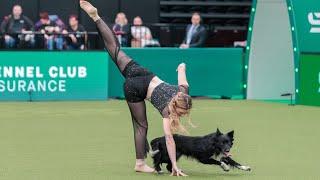 Crufts 2025 / Rhythm and Roni Sagi