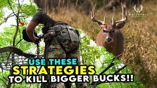 Use these 3 Strategies to Kill BIGGER BUCKS!!