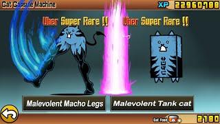 The Battle Cats - Unit  Malevolent Macho Legs  & Malevolent Tank Cat
