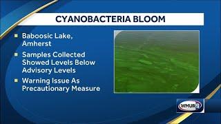 NHDES warns of cyanobacteria bloom in Amherst