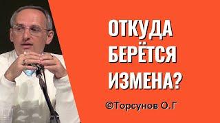 Откуда берётся измена? Торсунов лекции