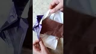 dairy milk chocolate 