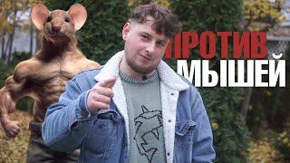 Как я навсегда прогнал мышей из своего дома ? Два простых способа!