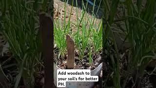 Instantly Improve Your Soil pH!