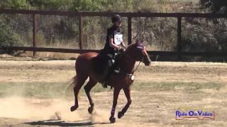 387XC Cindy Feng on Fabio Beginner Novice Championships Woodside October 2014