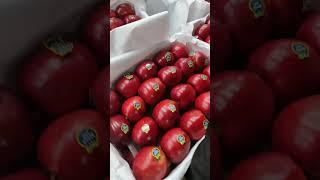 سیب صادراتی ایران  #هند#پاکستان#دبی#سیب#عراق#روسیهIran's export apples  #India#Pakistan#Dubai#Ap