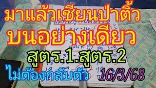 มาแล้วเซียนป่าติ้ว ชุดบน สูตรที่ 1 ประกบ สูตรที่ 2 วางหลักสิบหลักหน่วย ตามด่วน16/3/68