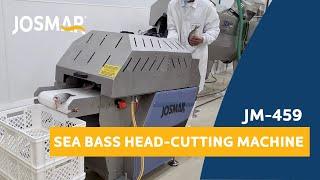 JM 459 sea bream head-cutting machine