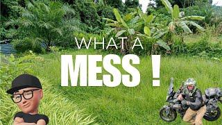 BACK IN THAILAND AND ITS A MESS #thailand #vlog #gardening #travel