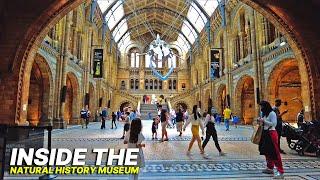 Museum Tour  - INSIDE the Natural History Museum London  Uncover the history of life on Earth 