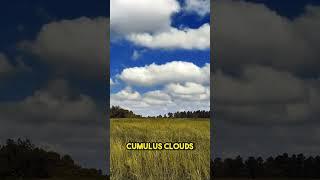 5 Types of Clouds: A Guide to Cloud Classification