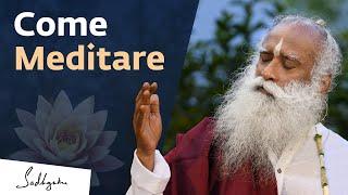 Come Meditare - per Principianti | Sadhguru Italiano