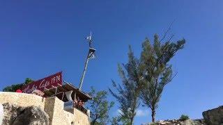 Klippenspringer Rick's Cafe slo-mo