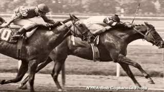 Affirmed and Alydar Rivalry