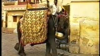 Elephants  in India.mpg