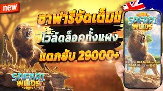 เกมสล็อต สูตรสล็อต ทดลองเล่นสล็อต  Safari Wilds : เกมซาฟารีสุดจัด