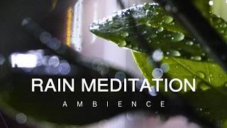 10 Hour Calm Rain Meditation | Sounds for Sleep & Stress-Relief