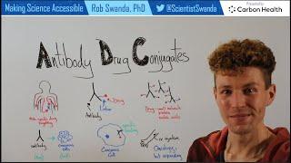 What are Antibody Drug Conjugates (ADCs)?