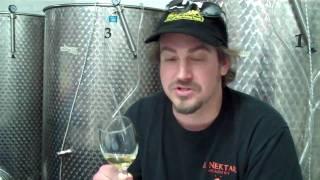 B. Nektar Meadery - Pineapple Coconut Melomel (mead)