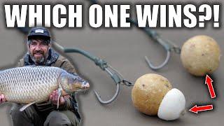 Carp Fishing Hookbaits Challenge - Bottom Baits Vs Tipped