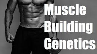 The Truth About Genetics and Muscle Building