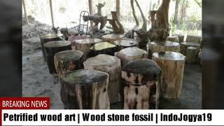 Petrified Wood Art |Wood Stone Fossil | IndoJogya