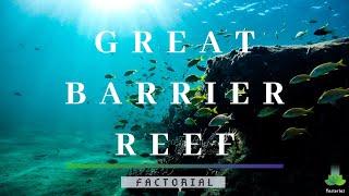 11 Fascinating Facts About Great Barrier Reef