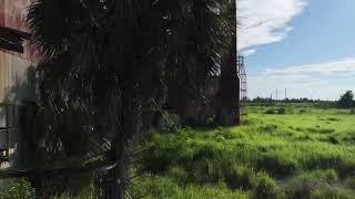 Bone Valley of Polk County, Florida