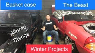 Altered Stangs Foxbody Winter Projects